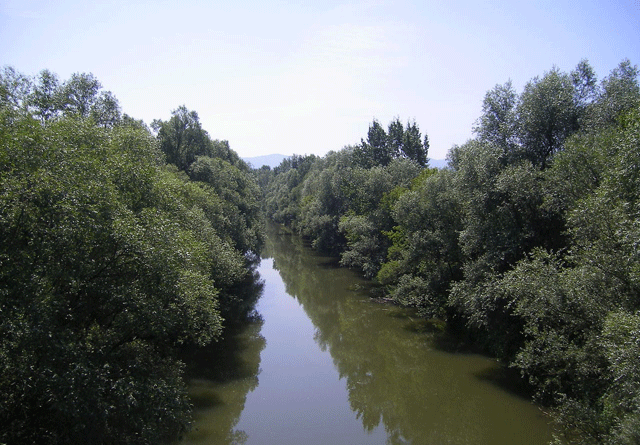 Fluss Ipel Vysoke Iplom