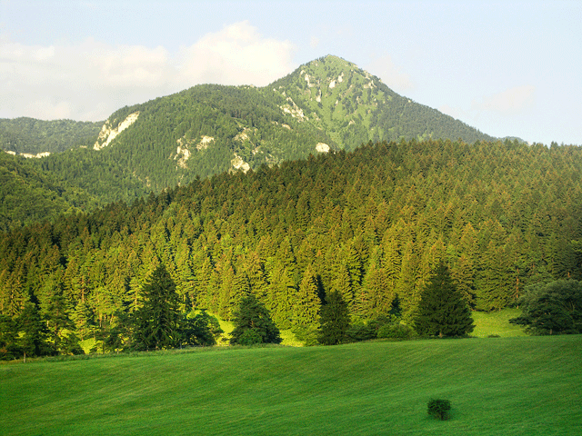 Grosse Fatra Berg Drienok